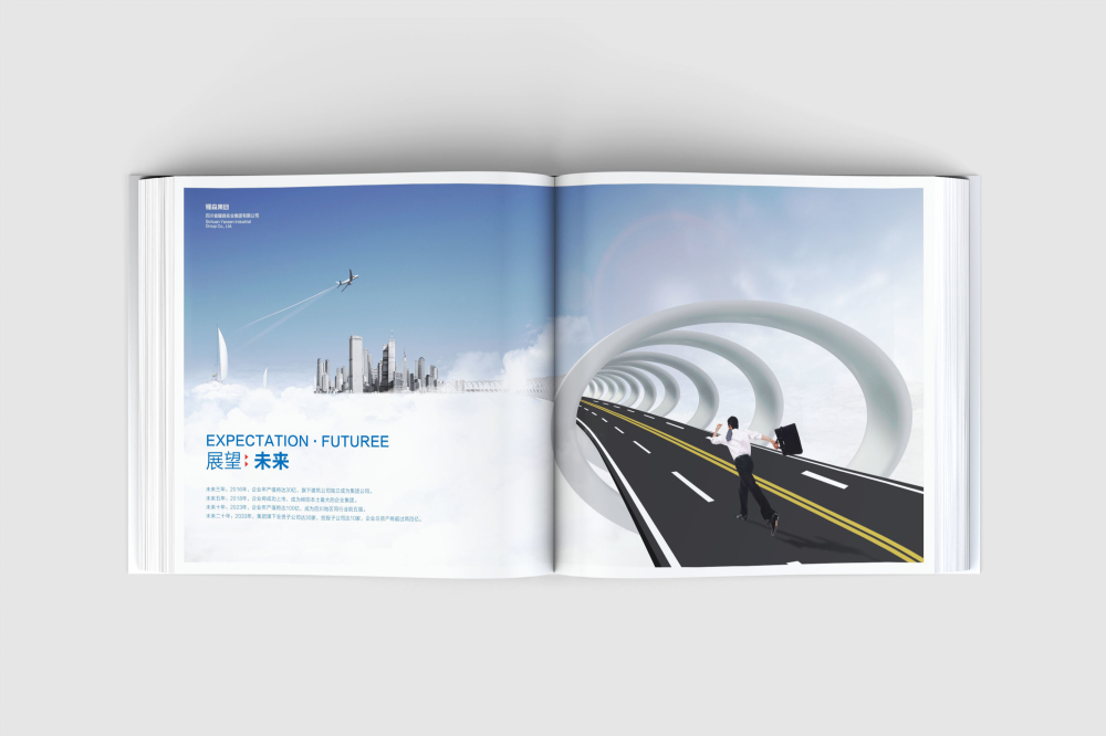 卫辉市画册设计